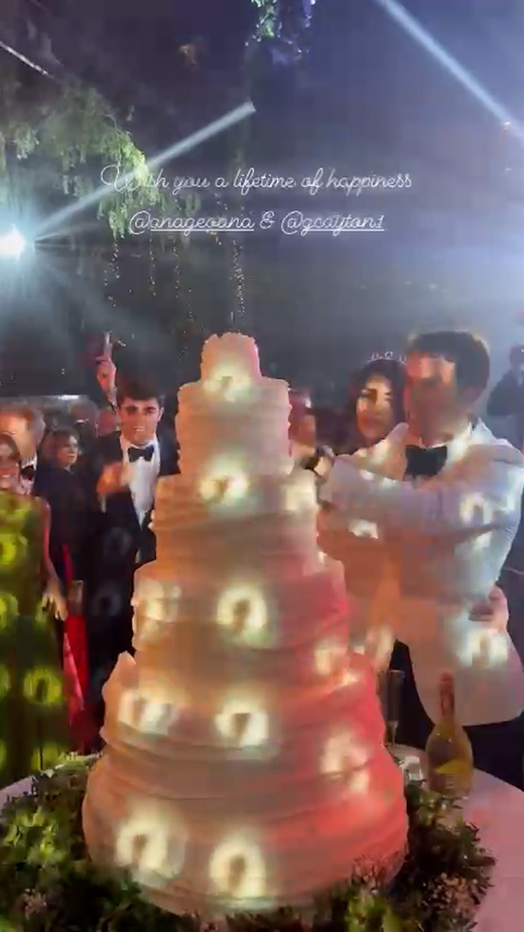 Ana Maria Geoană și soțul ei, în momentul tăierii tortului