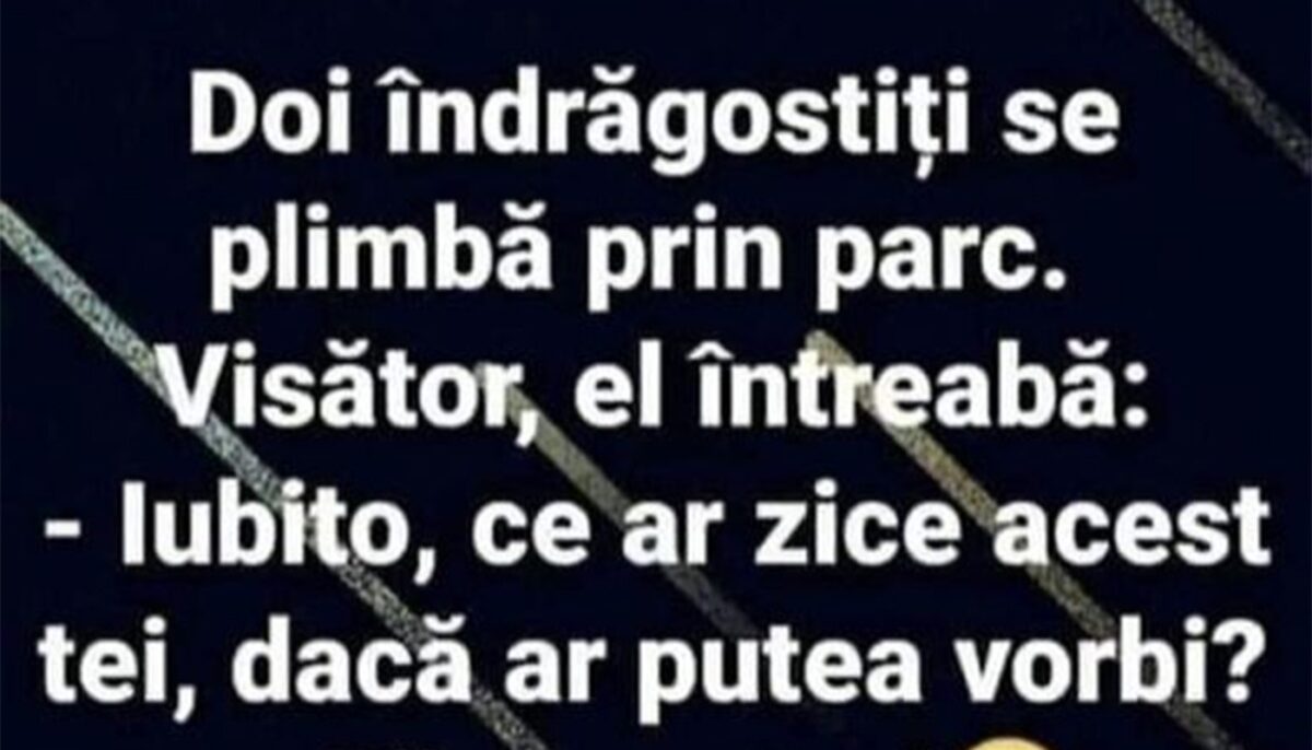 Imagine Stire BANC | „Iubito, ce ar zice acest tei dacă ar putea vorbi?” | 2review.ro