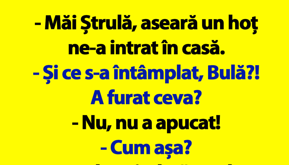 Imagine Stire BANC | Bulă, Bubulina și hoțul ghinionist | 2review.ro