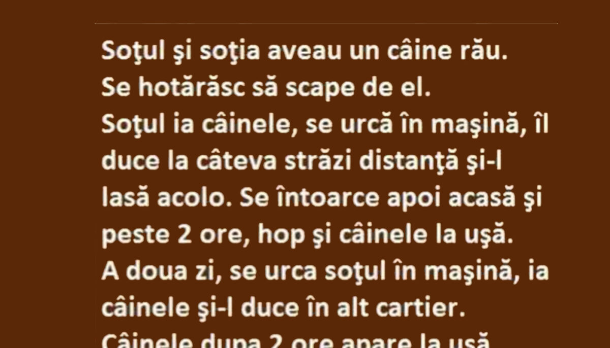 Imagine Stire BANCUL ZILEI | Soțul, nevasta și câinele rău | 2review.ro
