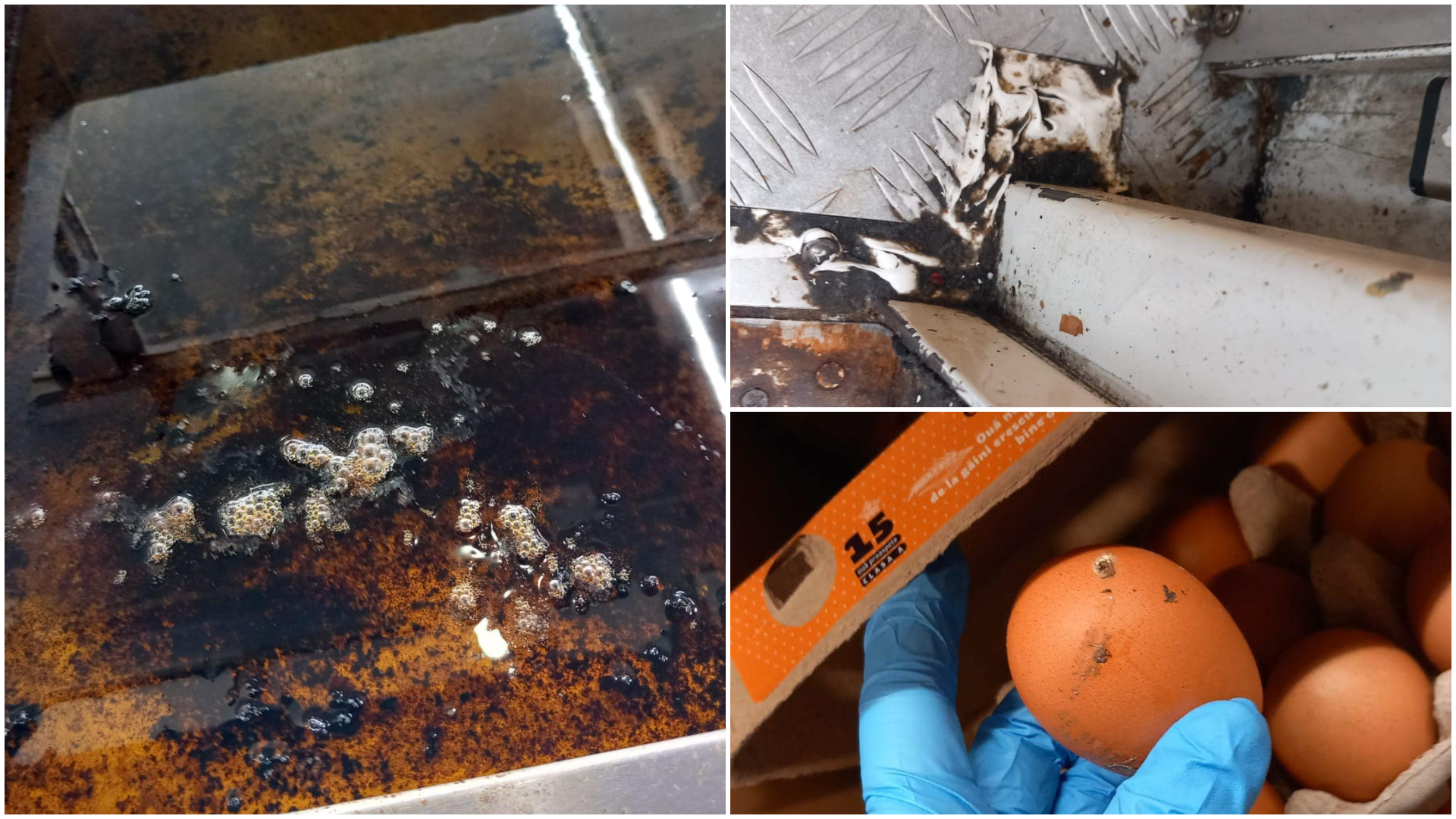 Amendă record pentru Kaufland de la ANPC. Nereguli grave în cele 65 de magazine și sancțiuni pe măsură