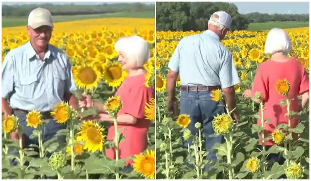 Imagine Stire Cadoul inedit primit de o femeie, după 50 de ani de căsnicie. Gestul soțului ei a uimit o lume întreagă: „Mă simt specială” | 2review.ro