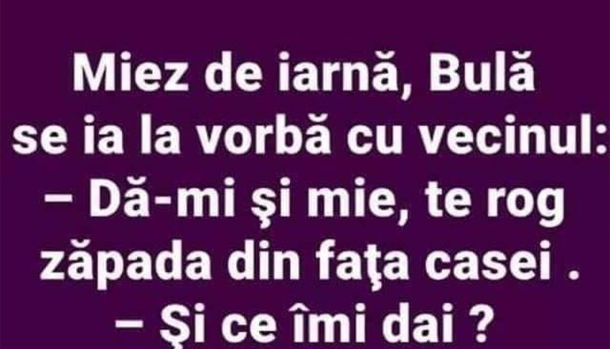 Imagine Stire BANC | Miez de iarnă, Bulă se ia la vorbă cu vecinul | 2review.ro