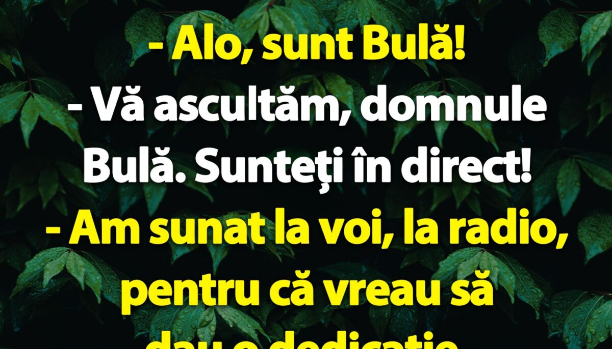 Imagine Stire BANC | Bulă sună la radio pentru a da o dedicație | 2review.ro