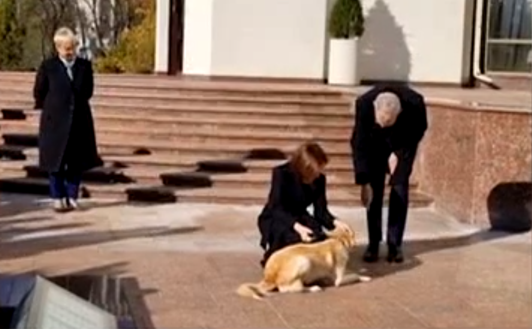 Câinele Maiei Sandu l-a mușcat de mână pe președintele Austriei. Oficialul s-a ales cu un bandaj după “atacul” lui Codruț
