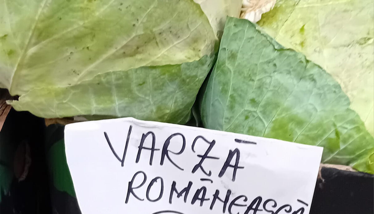 „Samsarii din piețe au ridicat prețul” Cu câți lei se vinde 1 kg de varză românească, acum, la sfârșit de noiembrie