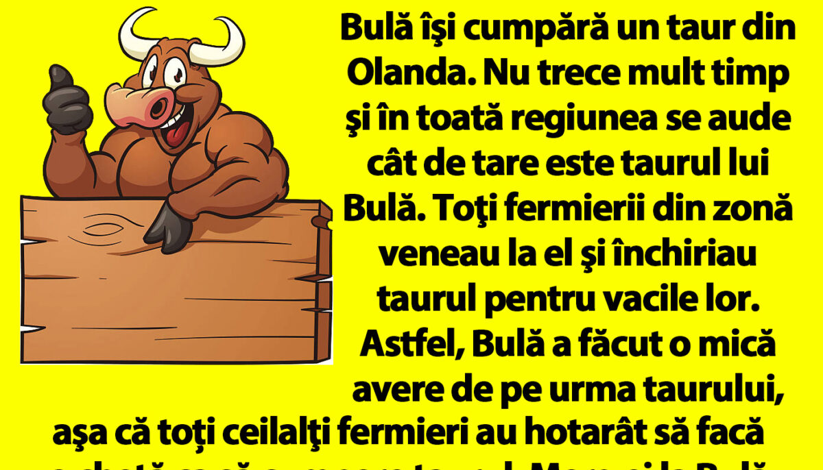 Imagine Stire BANC | Bulă și taurul din Olanda | 2review.ro