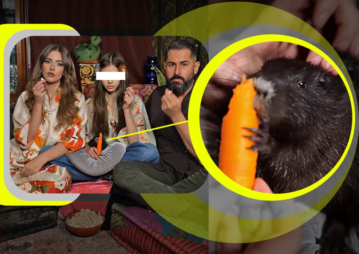 Imagine Stire Iulia Albu continuă să șocheze: și-a luat nutrie! CANCAN.RO are imagini tari | 2review.ro