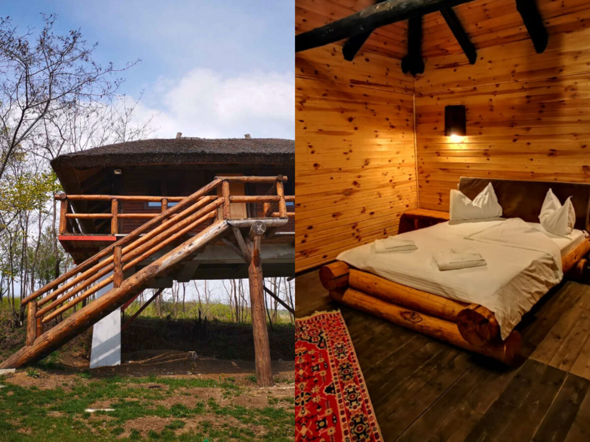 Imagine Stire Cât costa o noapte de cazare la Ferma Dacilor. Camerele nu aveau nici măcar televizor | 2review.ro