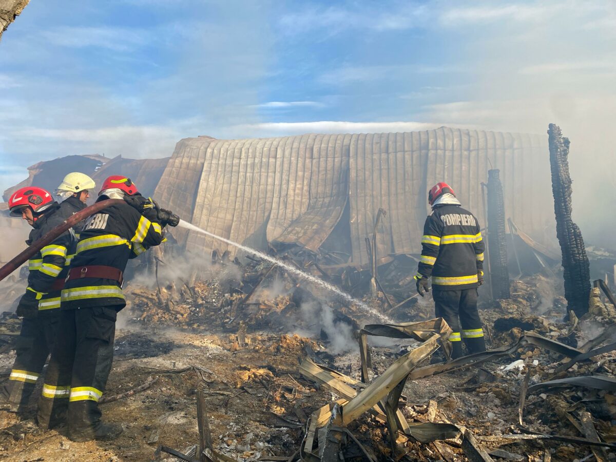 Imagine Stire Mărturisiri exclusive despre cei doi frați morți în incendiul de la Ferma Dacilor. „A vrut să doarmă la mansardă” | 2review.ro