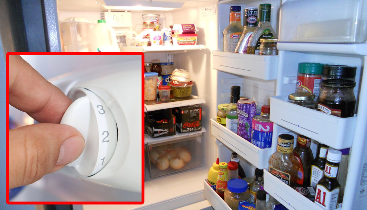 La ce treaptă de temperatură trebuie să setați frigiderul, pentru a economisi energie electrică