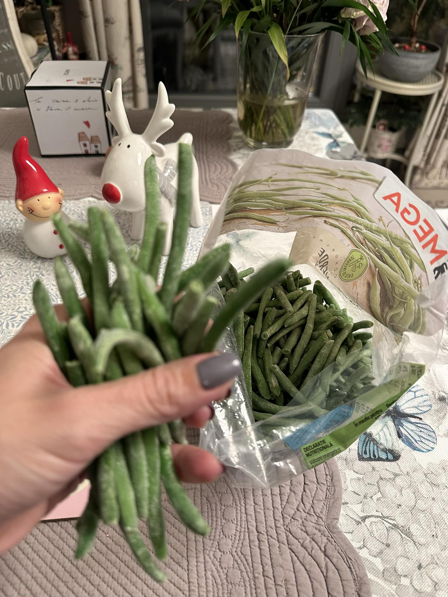 mihaela bilic fasole verde