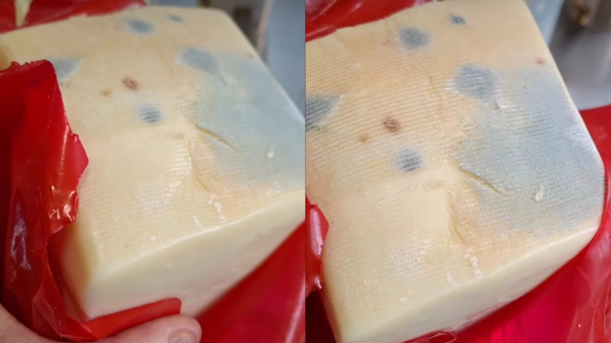 Mucegai în cașcavalul de la supermarket. Imagini ireale filmate de un client care a cumpărat un produs cu… probleme