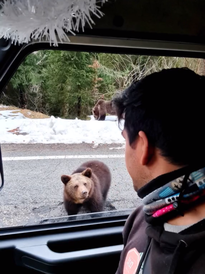 turisti spanioli transfagarasan