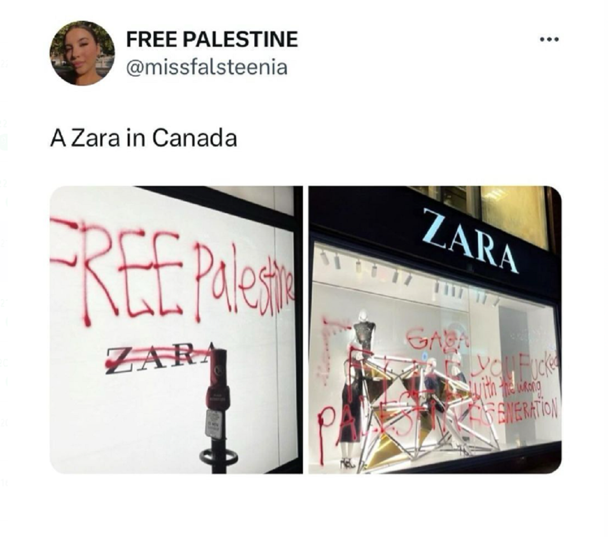 campanie zara