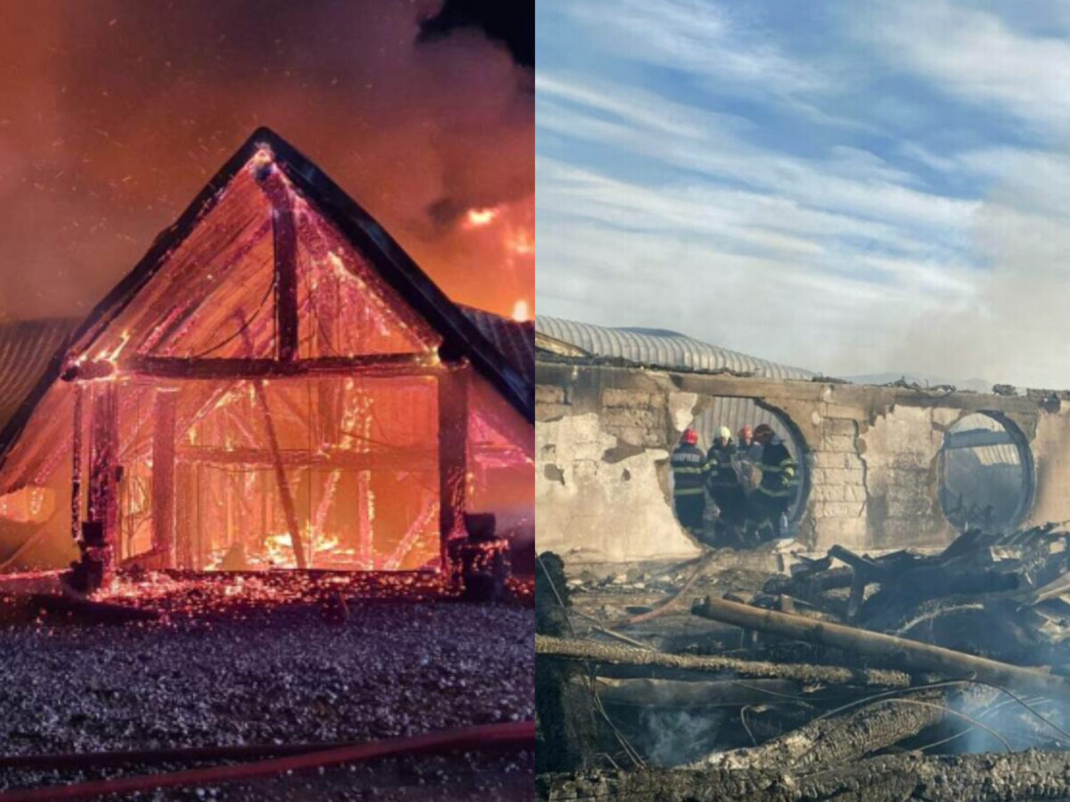 Mărturii terifiante din locul în care s-a aflat Ferma Dacilor. „20 de inși i-au tăiat mâna unei persoane”. Vecinul lui Dinicu a adus în centrul atenției un episod tulburător