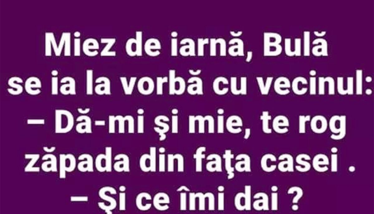 Imagine Stire BANC | Miez de iarnă, Bulă se ia la vorbă cu vecinul | 2review.ro