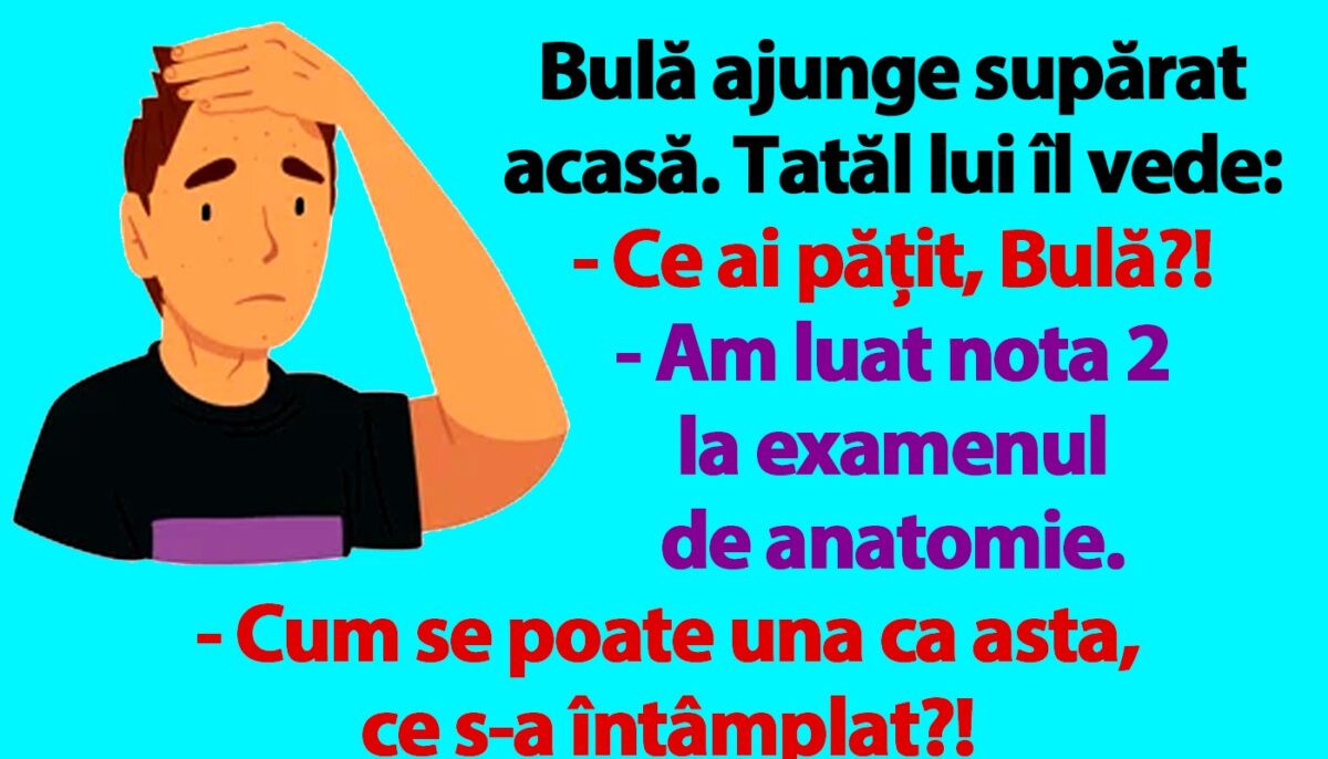 Imagine Stire BANC | Bulă ajunge supărat acasă: „Am luat nota 2 la examenul de anatomie” | 2review.ro