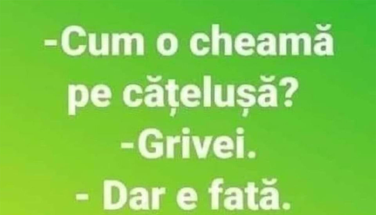 Imagine Stire BANCUL ZILEI | „Cum o cheamă pe cățelușă?” | 2review.ro