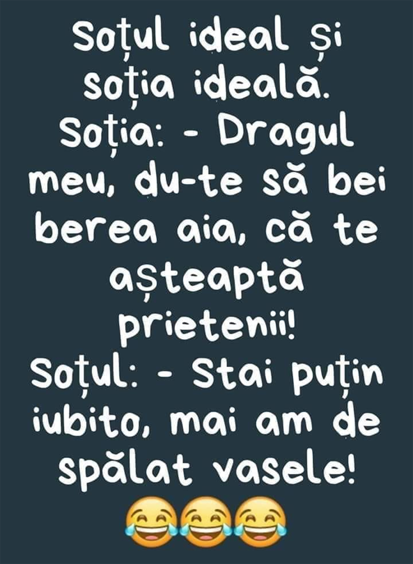 banc sotul ideal si sotia