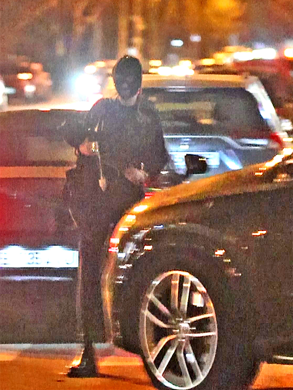 Bianca Drăgușanu își protejează fața cu o mască