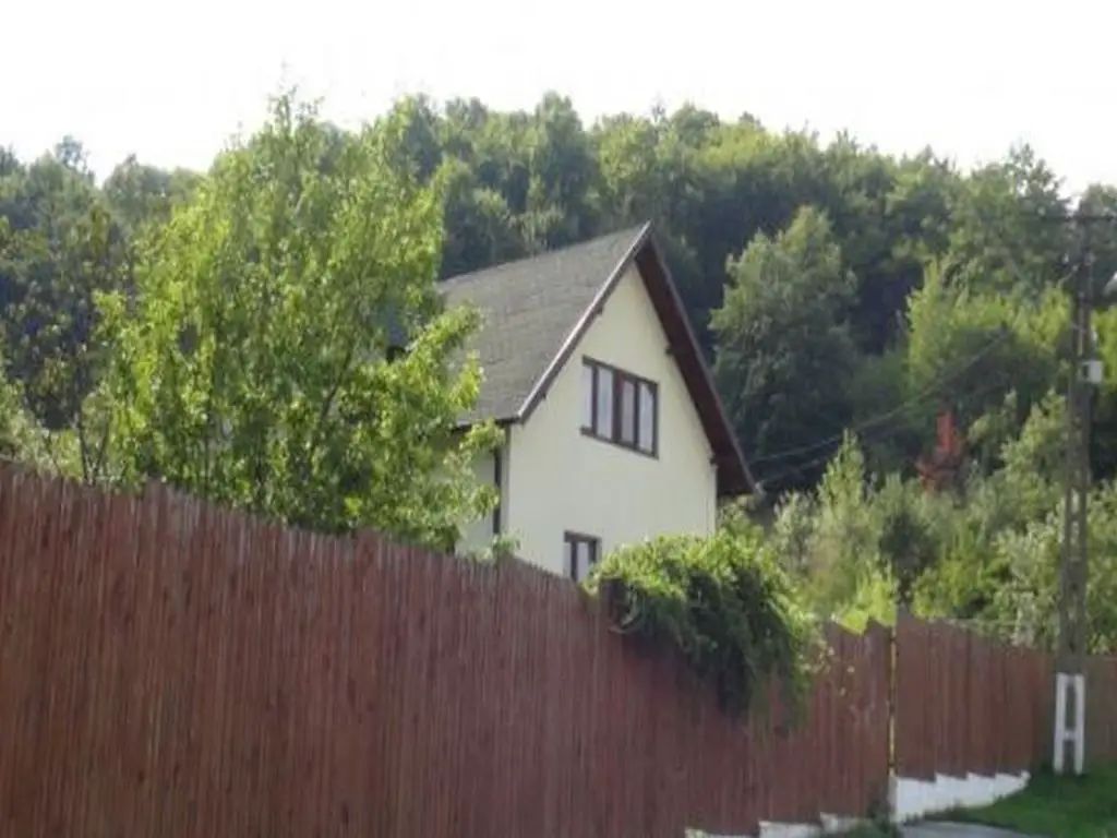 Casa lui Florin Călinescu de la Babana, Argeș / Foto: Wowbiz