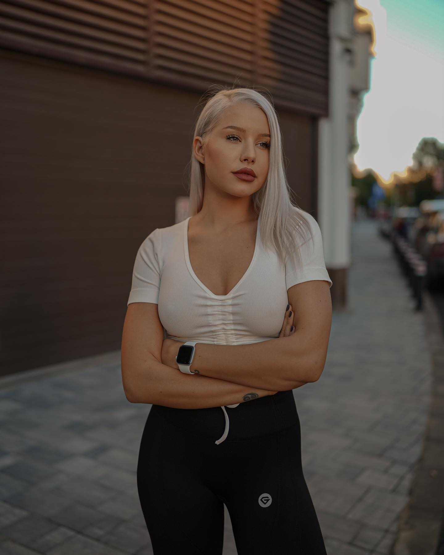 carmen grebenisan grasa