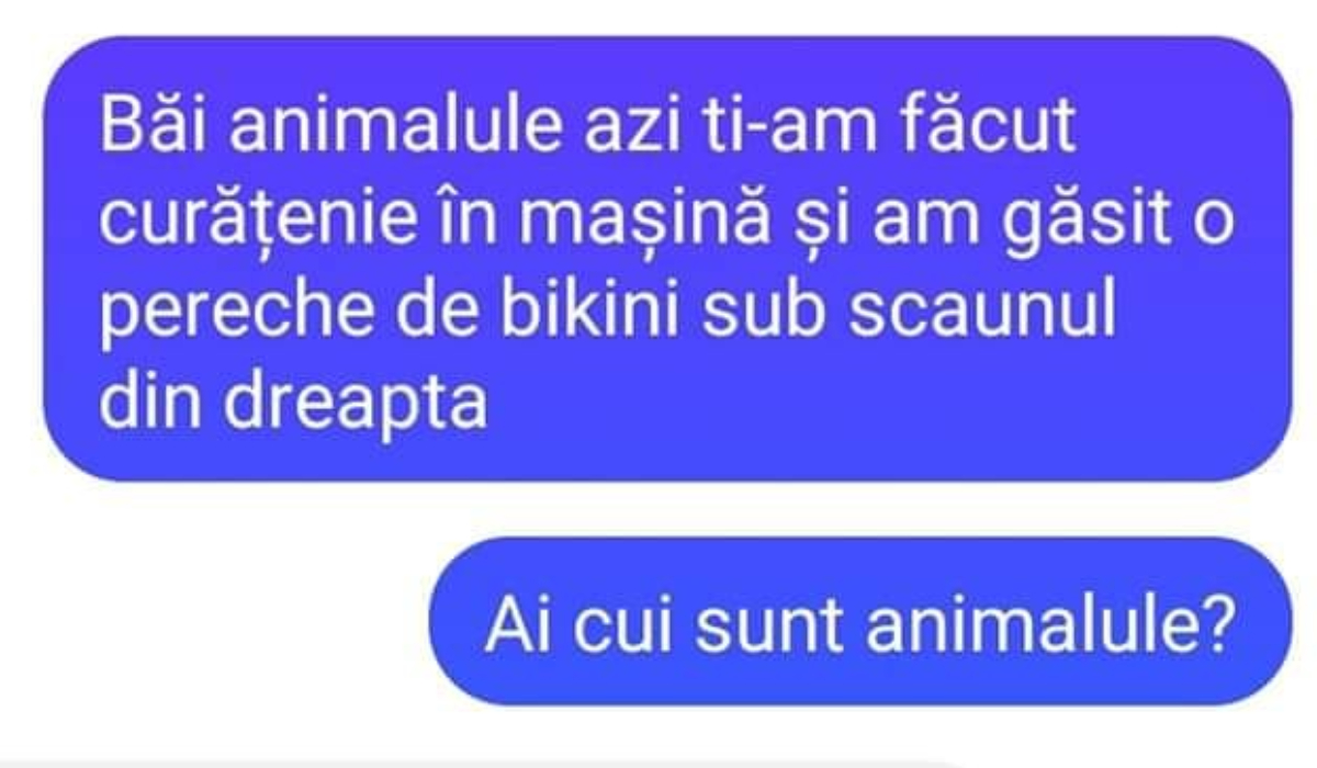 Imagine Stire Bancul sfârşitului de săptămână | „Băi, animalule, azi ţi-am făcut curat în maşină” | 2review.ro