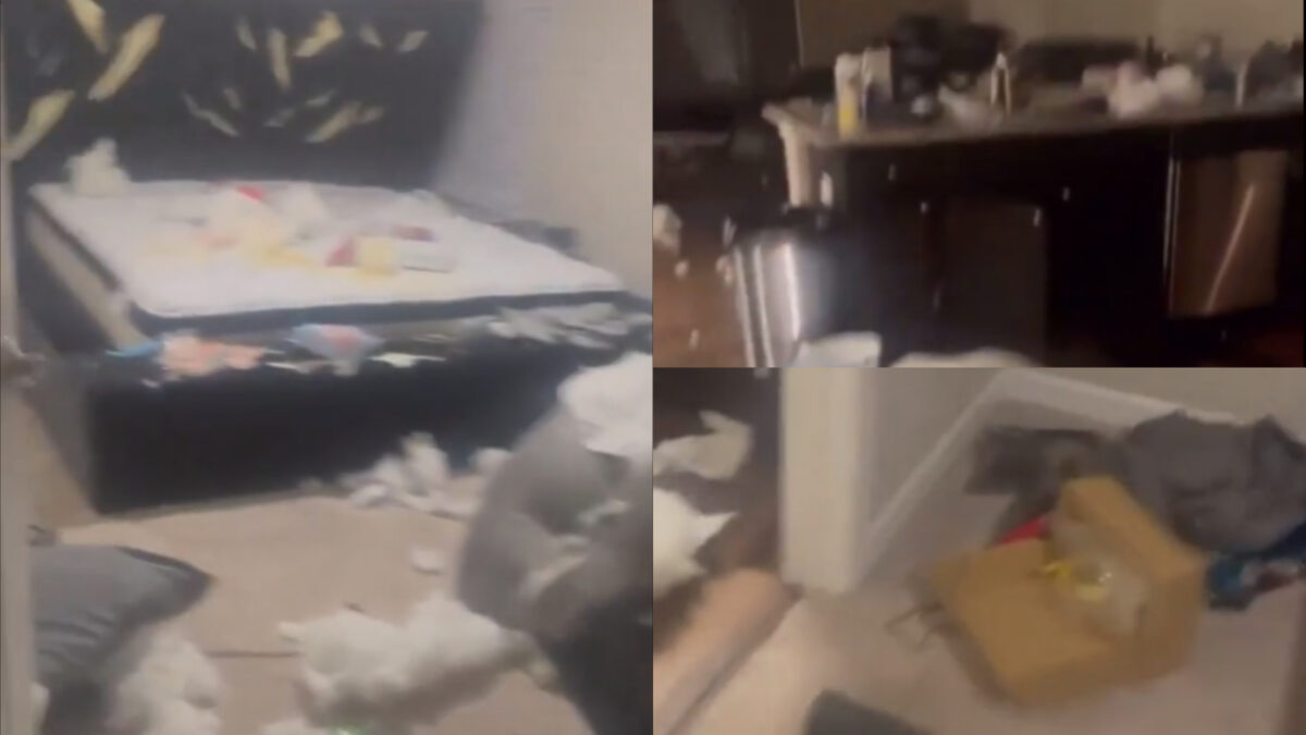 Cum s-a răzbunat o femeie pe iubitul ei după ce n-a primit cadou de Valentine’s Day. Filmarea s-a viralizat rapid