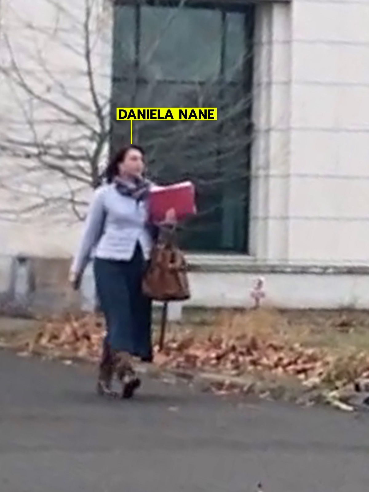 Daniela Nane părăsește Biblioteca Națională 