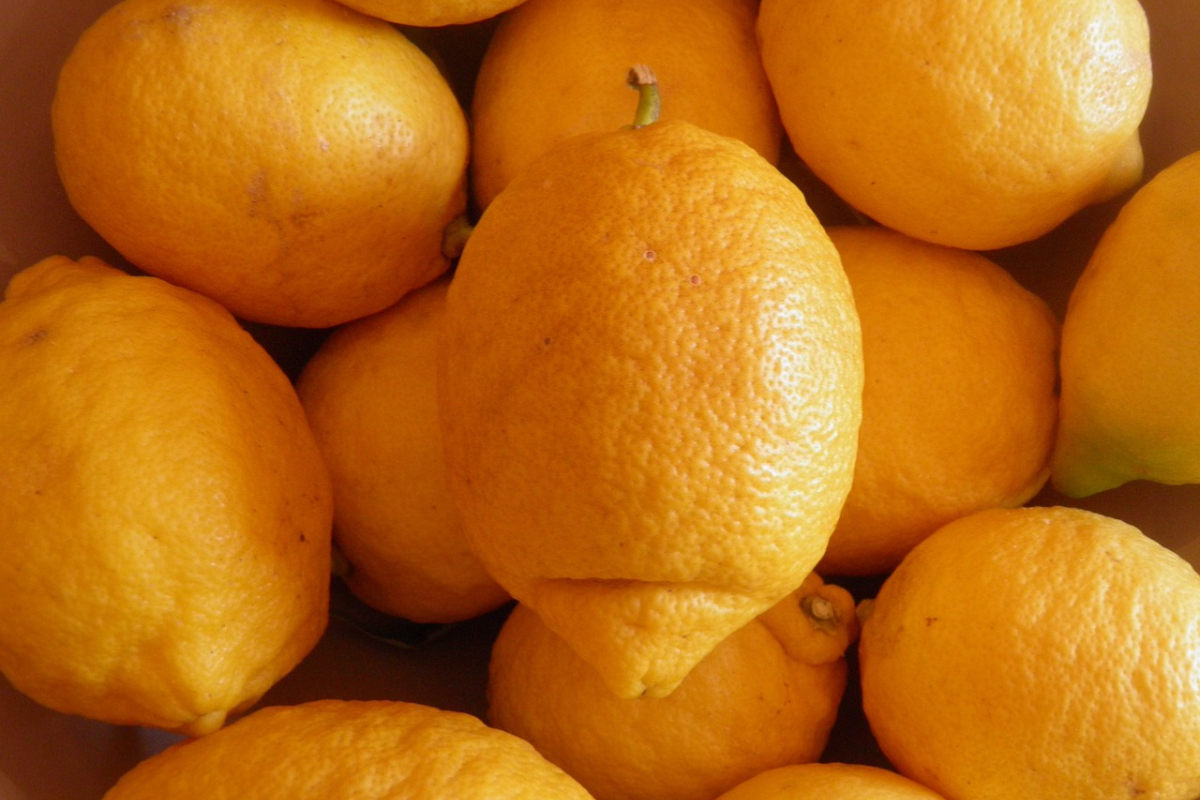 Imagine Stire Cu cât se vinde cea mai veche lămâie din lume. Are 285 de ani și oamenii se luptă la licitație pentru ea | 2review.ro