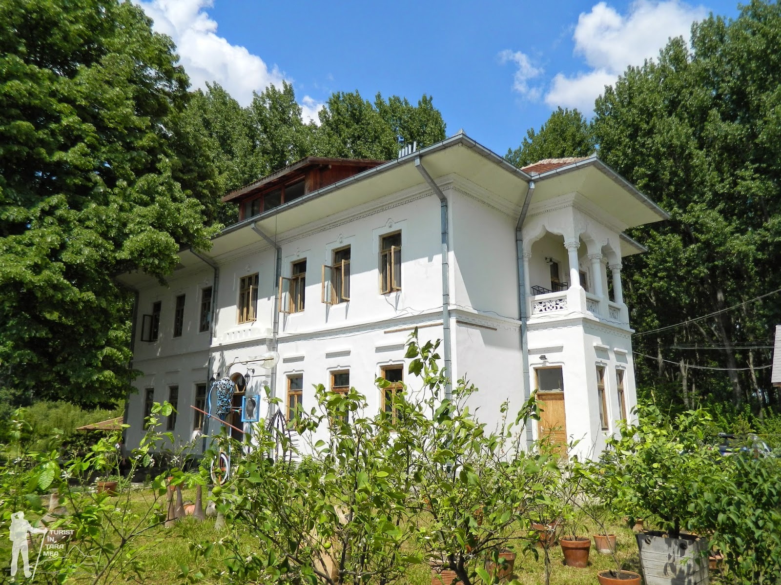mircea dinescu casa