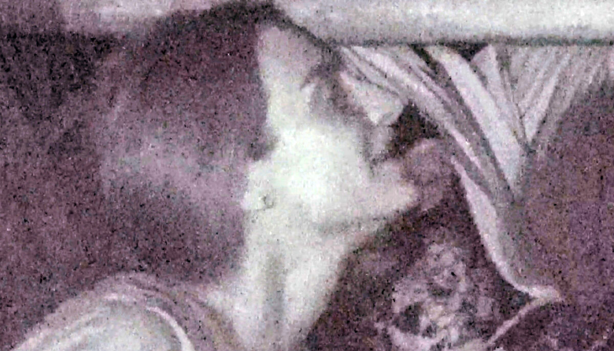 Imagine Stire Zanni și Ana Porgras, prinși sărutându-se noaptea, la Survivor All Stars de la Pro TV | 2review.ro