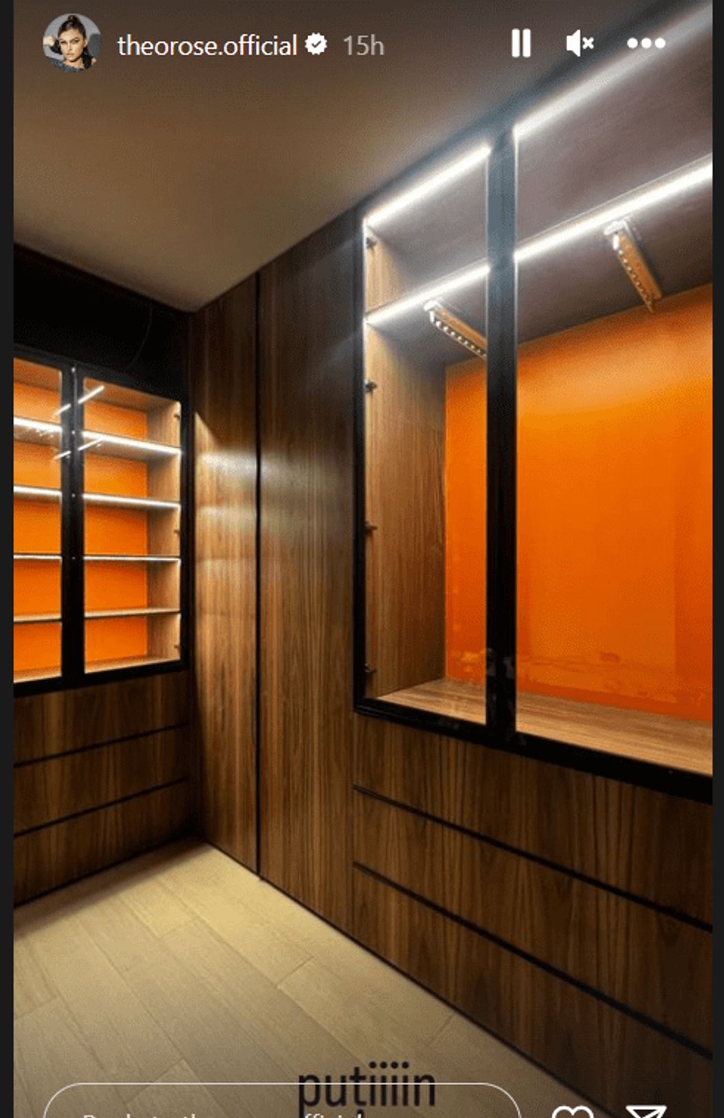 Postarea făcută de Theo Rose / Foto: Instagram 