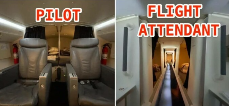 Camerele dintr-o aeronavă destinate piloților și însoțitorilor de zbor