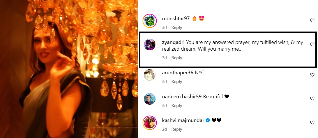 Comentariul lăsat de un fan la postarea Iuliei Vântur