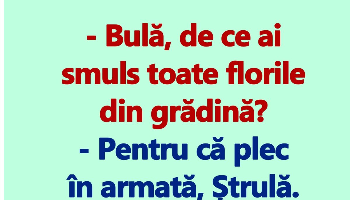 Imagine Stire BANC | „Bulă, de ce ai smuls toate florile din grădină?” | 2review.ro