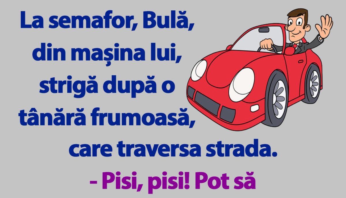 Imagine Stire BANC | La semafor, Bulă strigă după o tânără frumoasă | 2review.ro