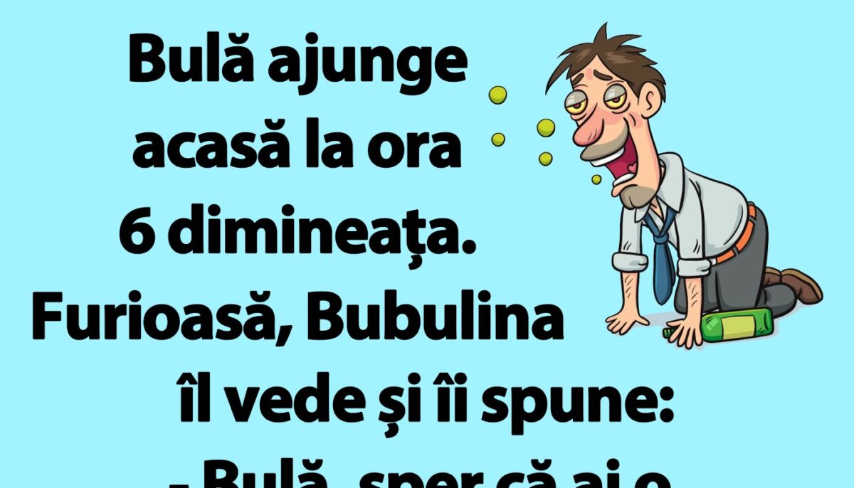 Imagine Stire BANC | Bulă ajunge acasă la ora 6 dimineața | 2review.ro