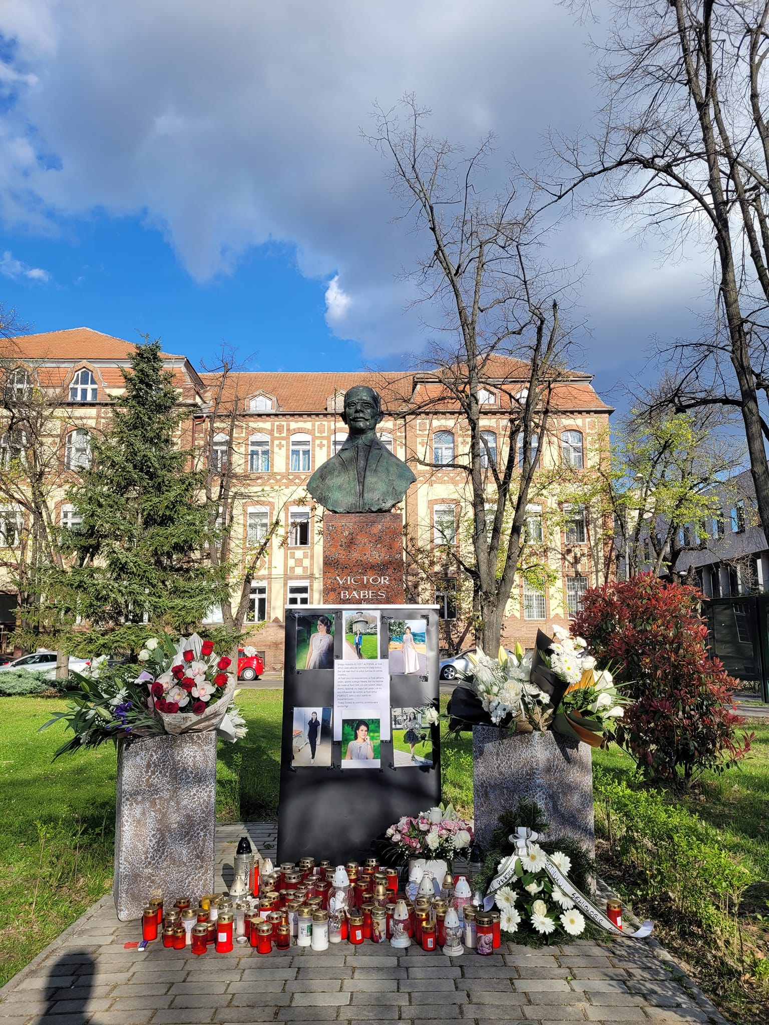 andreea morega mirel medicina