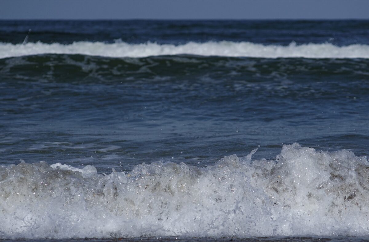 Fenomen bizar la Marea Neagră. Ce a apărut pe plaja din Mamaia, în toiul lunii martie 2024