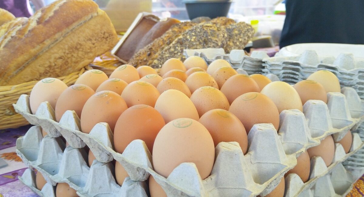 Ouăle pe care nu trebuie să le cumperi niciodată din magazin! Nu contează că sunt proaspete