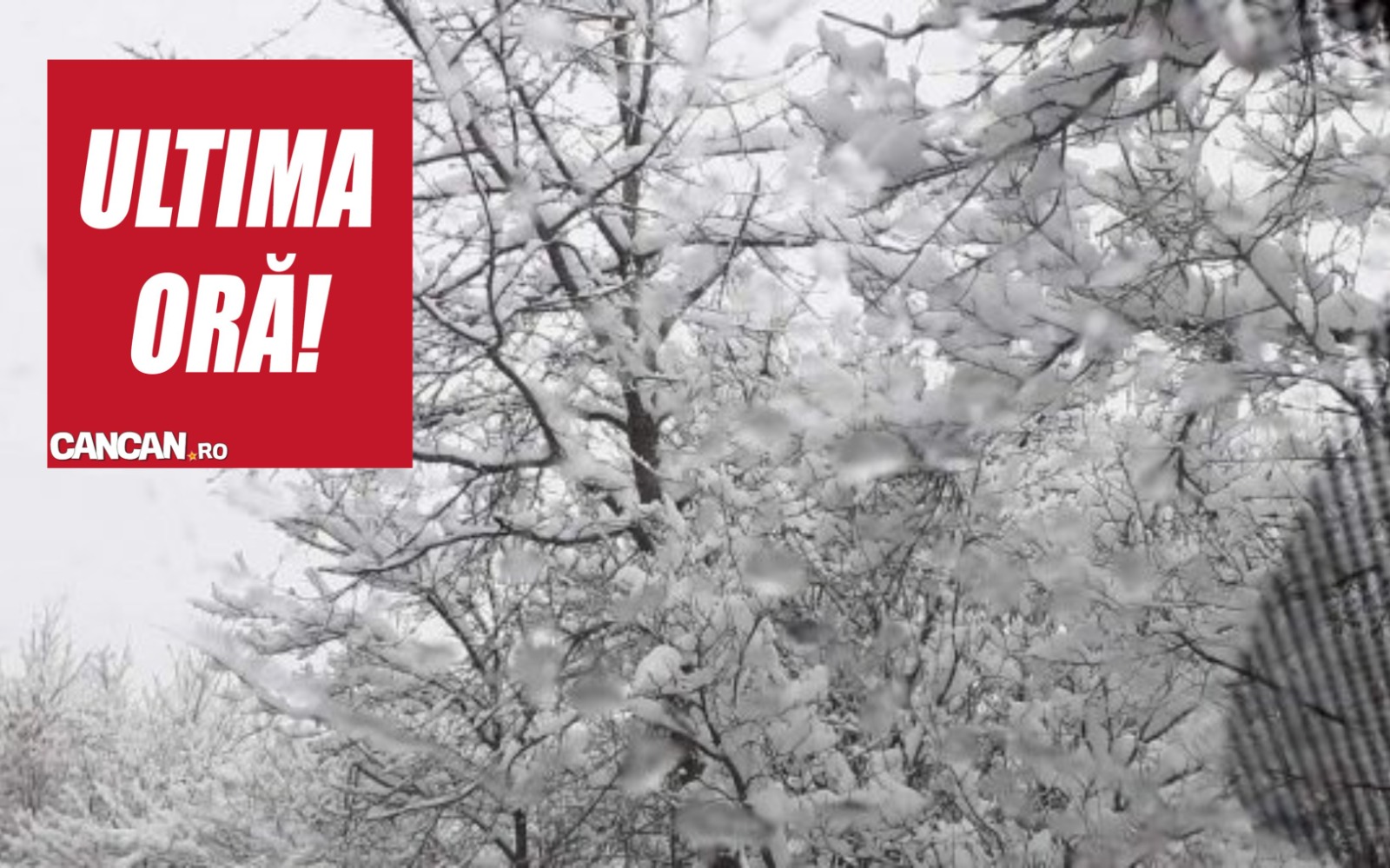 Meteorologii AccuWeather au anunţat că va ninge de Paşte! Cum va fi vremea în toată ţara