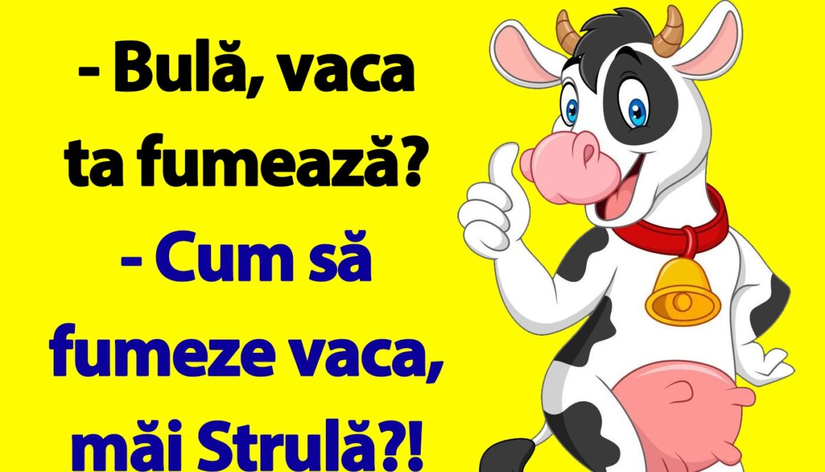 Imagine Stire Bancul de sâmbătă dimineața |  „Bulă, vaca ta fumează?” | 2review.ro