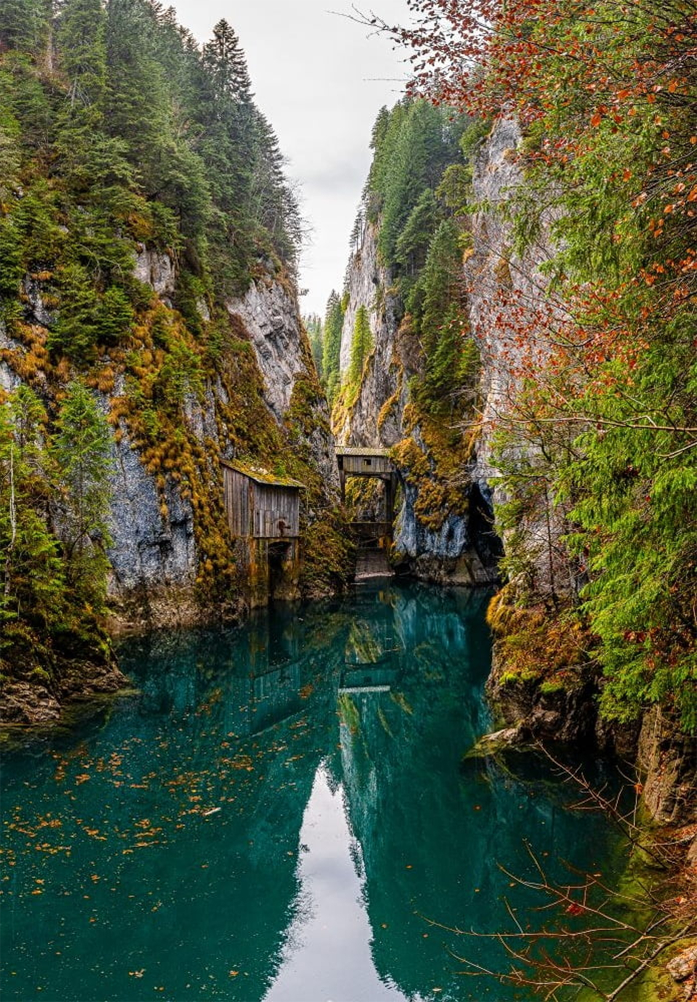 Lacul Scropoasa este situat la 2 ore de București/ Sursa foto: Facebook