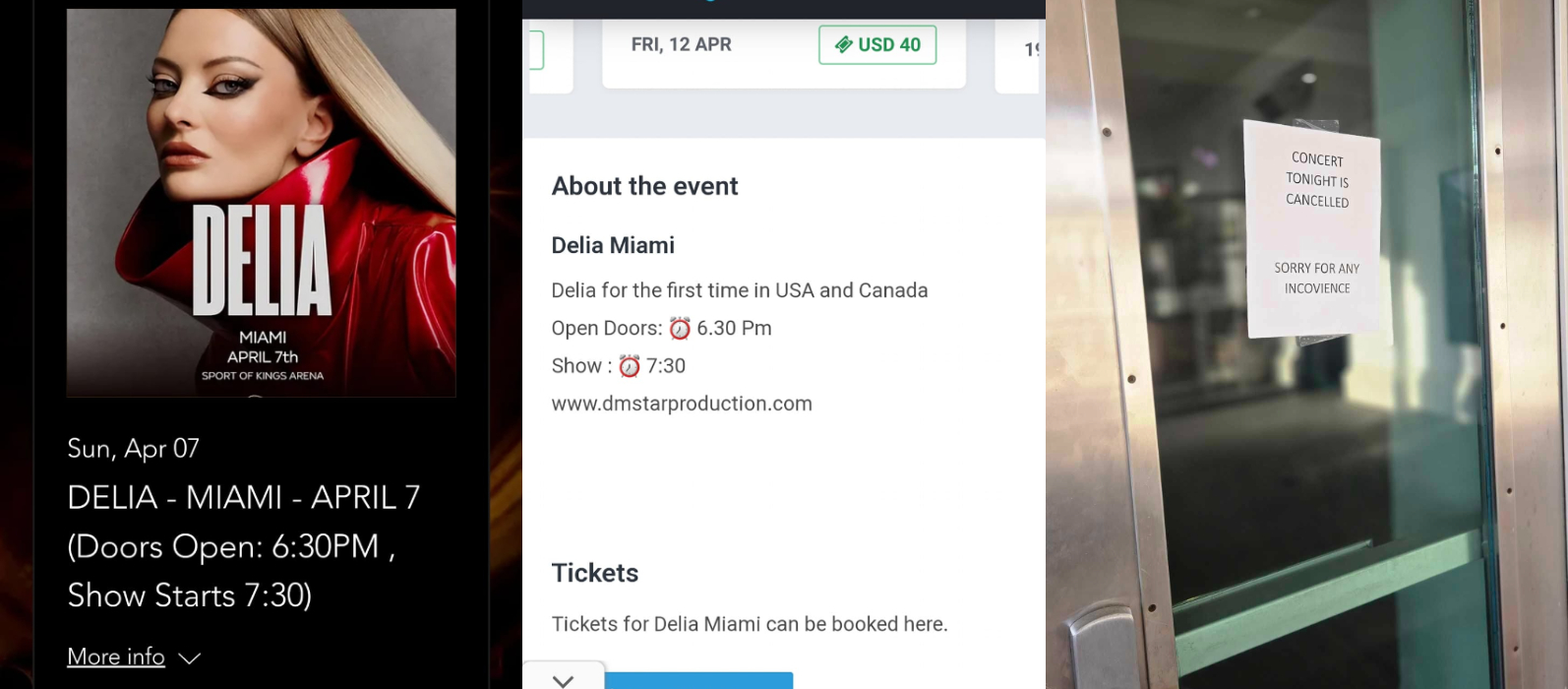 Concertul Deliei a fost anulat