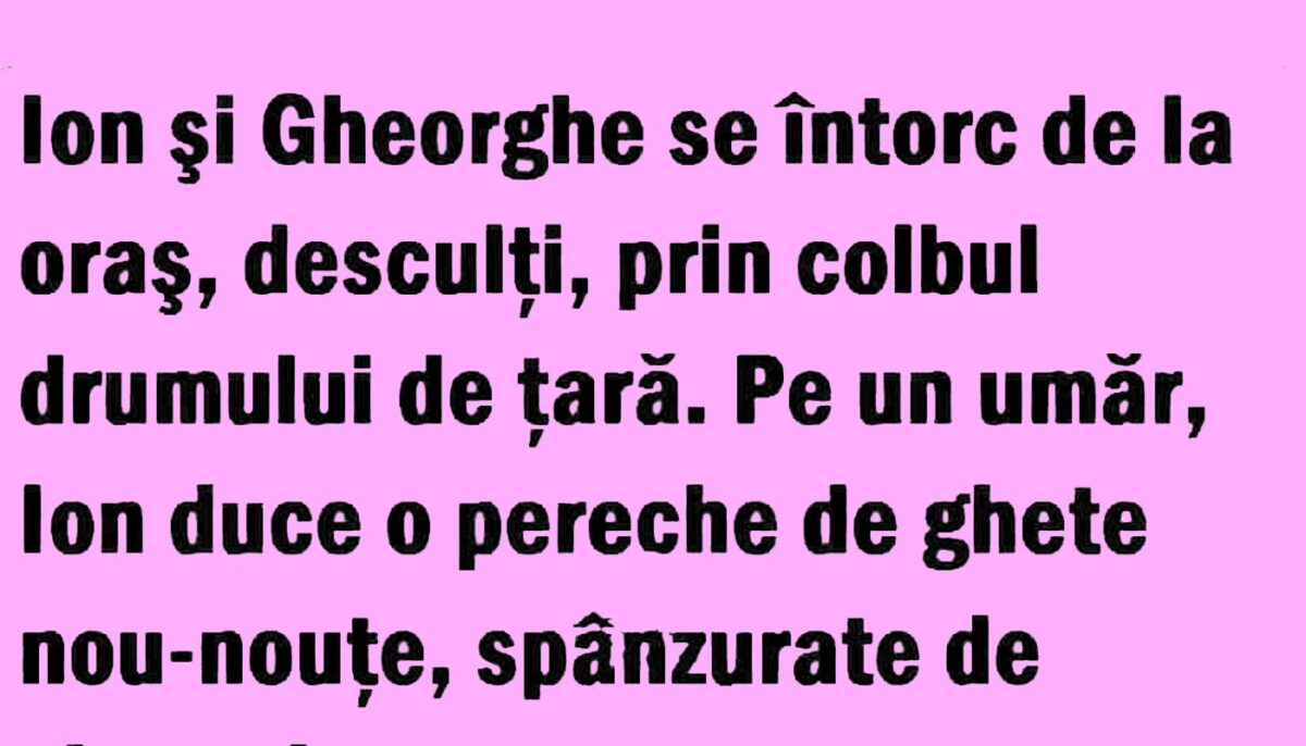 Imagine Stire BANC | Ion și Gheorghe se întorc de la oraș, desculți | 2review.ro