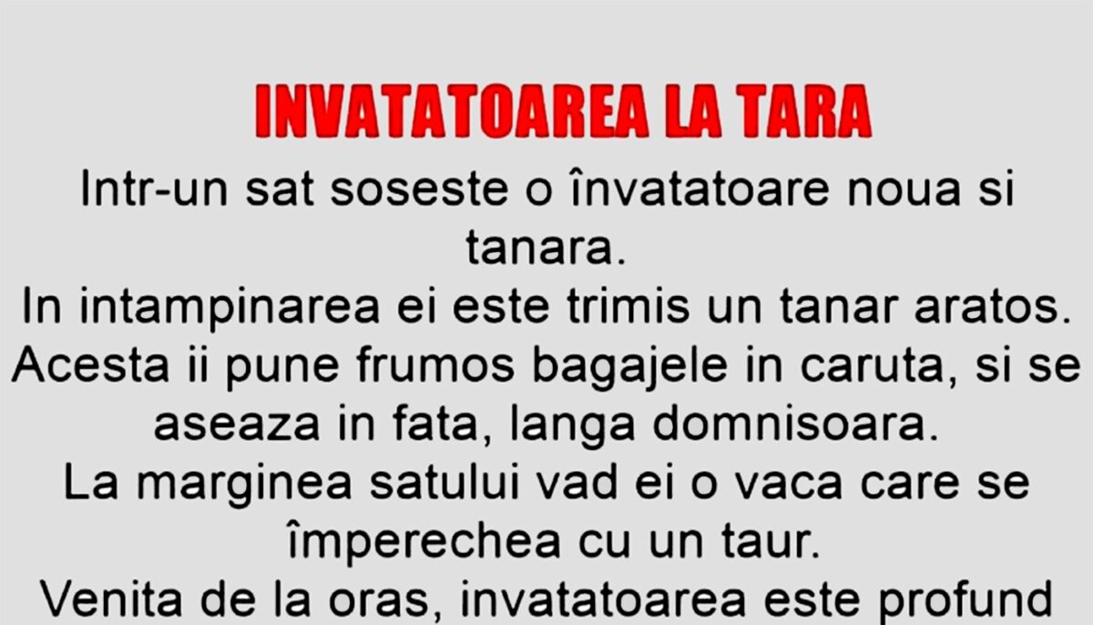 Imagine Stire BANCUL ZILEI | Învățătoarea la țară | 2review.ro