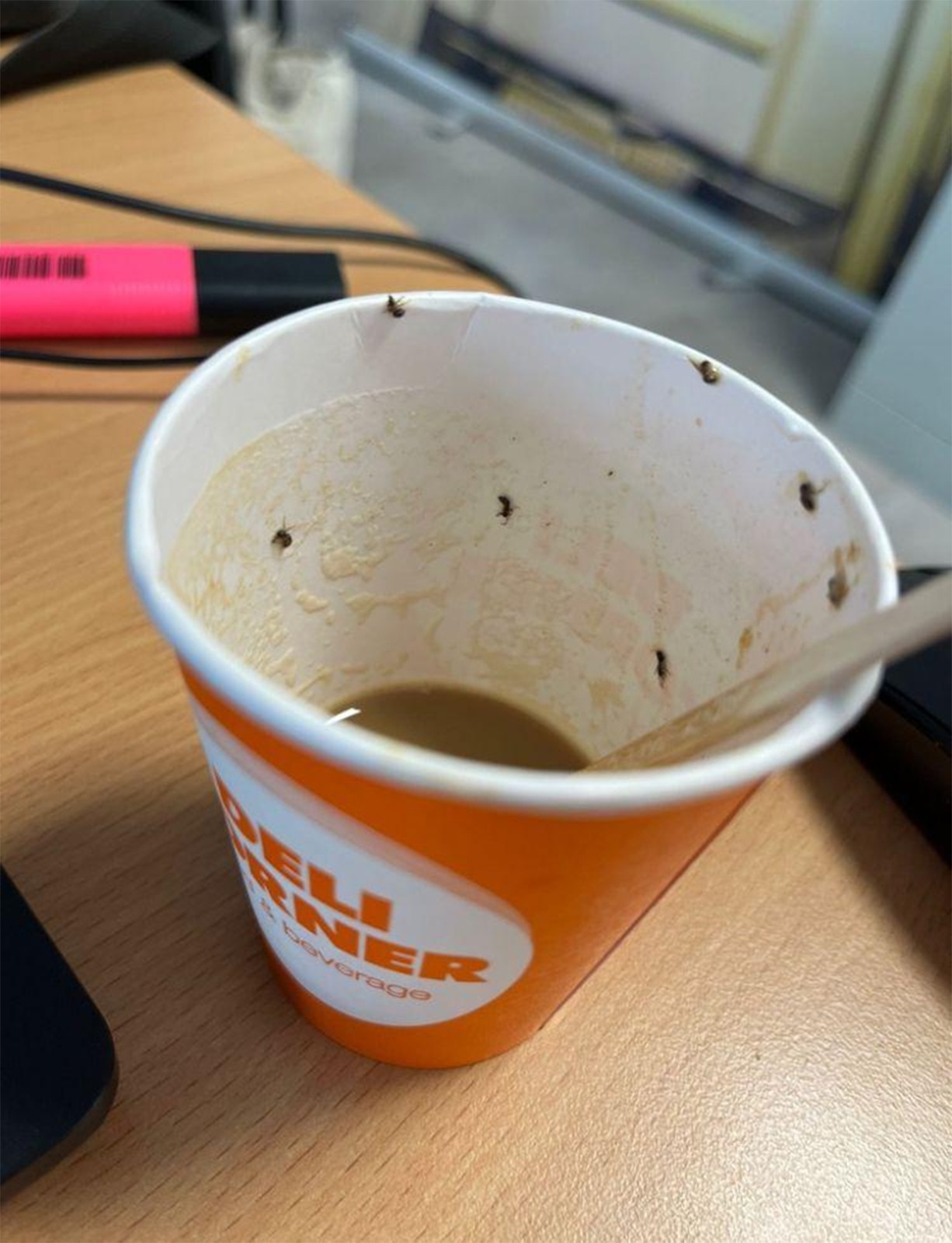 Insecte în cafea, la aeroport/foto: Ultima Hora
