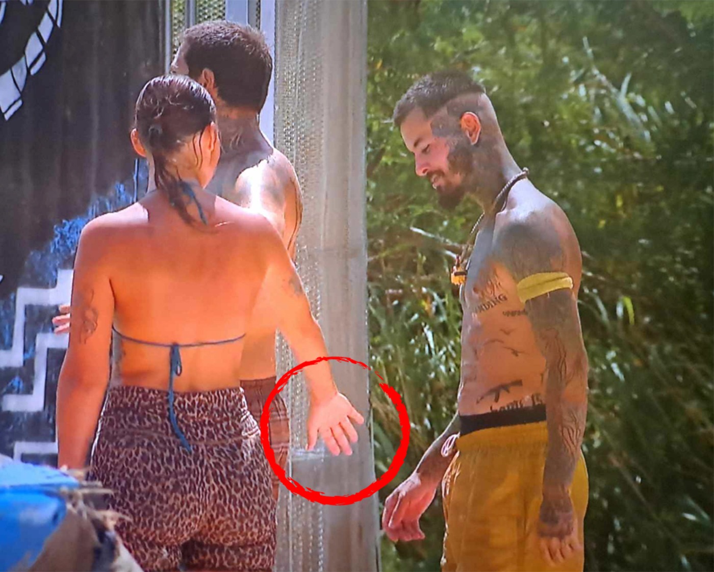 Zanni Alexandra Duli Survivor